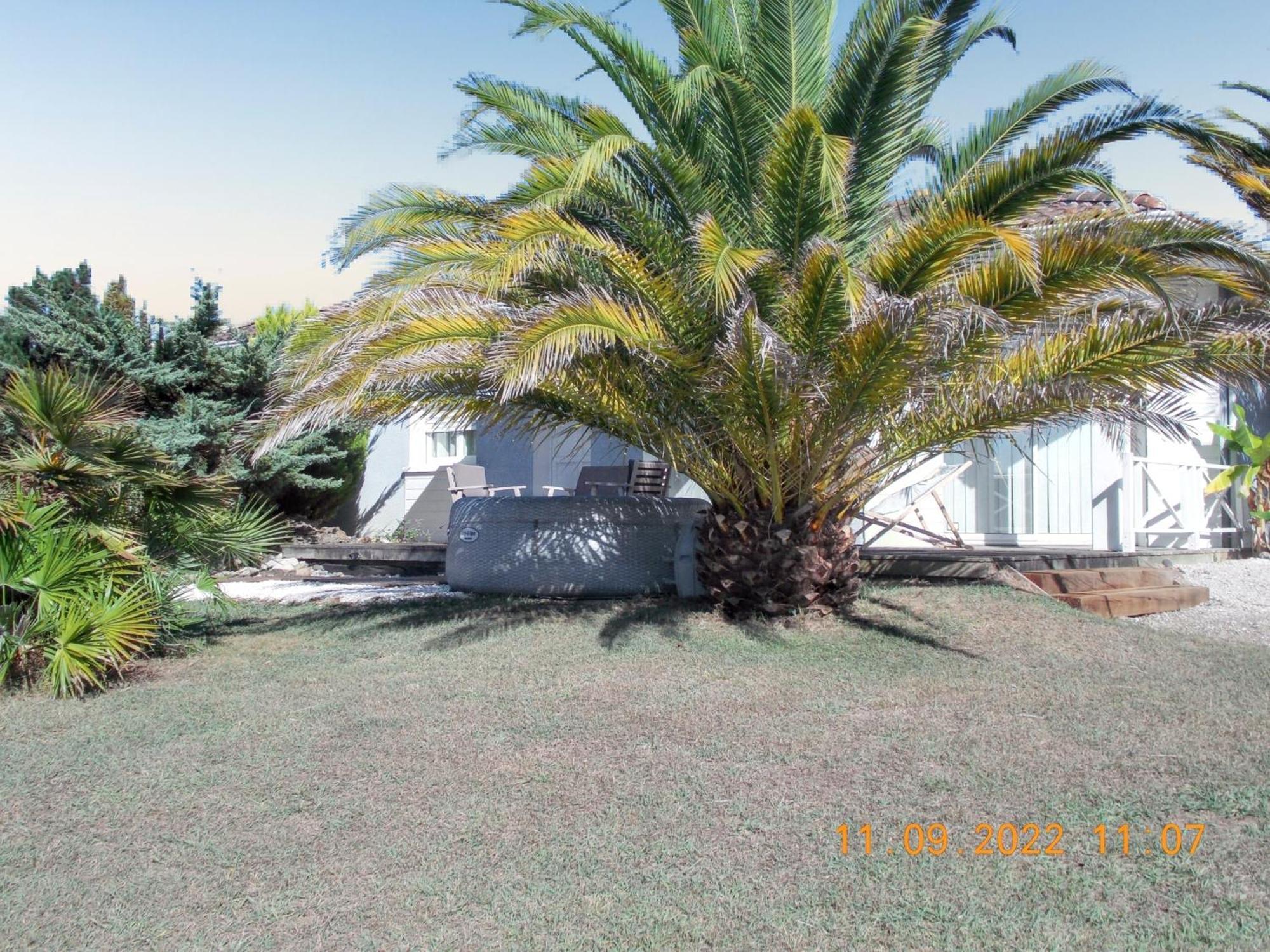 Maison Authentique Avec Spa Pres De Dax Et Son Jardin Villa Angoumé Exterior foto